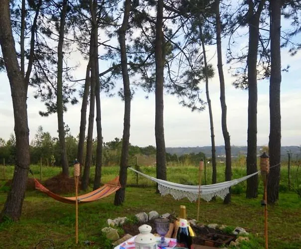 別荘 Happy Cat House - *