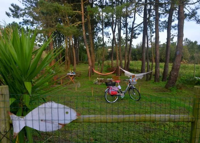 Happy Cat House - サン・マルティーニョ・ド・ポルト