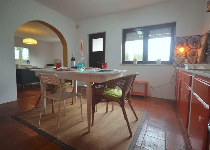 Happy Cat House - サン・マルティーニョ・ド・ポルト